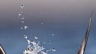 Water love bird's