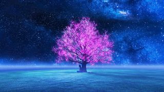Tree Star Night