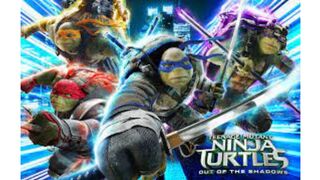 Teenage Mutant Ninja (2016) Full Movie In Hindi Dubbed