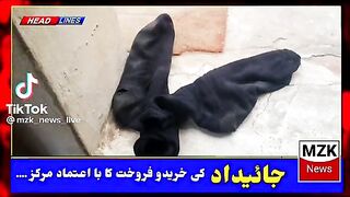 Funny video best video