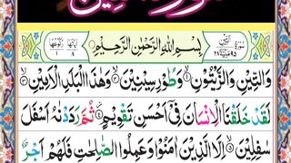 Surah teen|سورۃ التین|Heart touching Tilawat by Mufti Abdul jabbar