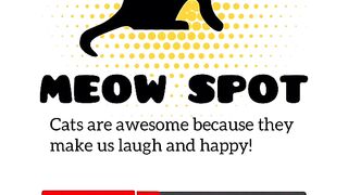 funny pet videos