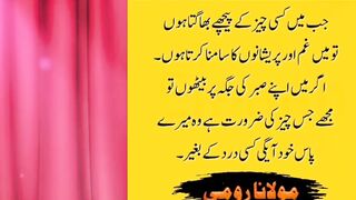 Quotes 4