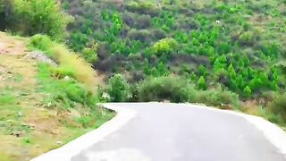 Travel ????