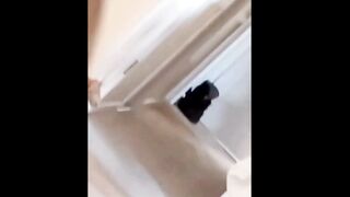 Cat videos/cat sound video