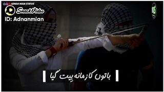Kashmir day