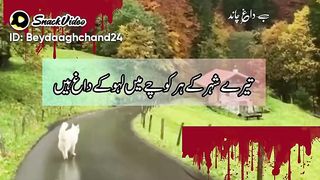 Kashmir day