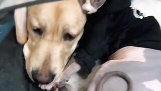 he feels sorry for his best friend.