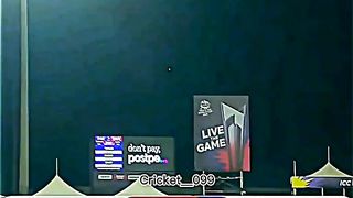 Cricket lover