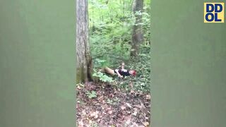TRY NOT TO LAUGH |The most Funniest Clips of 2023