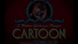 Tom and Jerry Cartoons