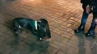 a fan of skateboarding.