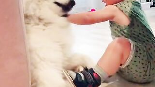 they didn't share the toy.