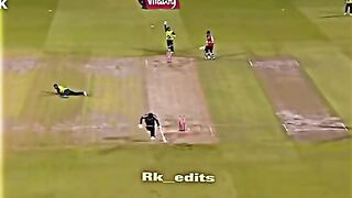 Cricket fans