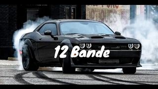 12 Bande | Perfectly Slowed + Reverb