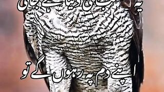 Ya matlaab ki dunnia hai janni poetry