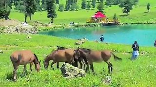 Astore Domail Valley