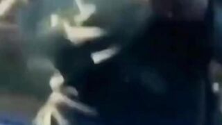 Funnyanimals#1