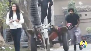 You New video funny completed 2023