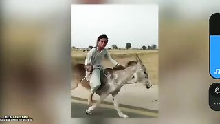 Funny pakistani