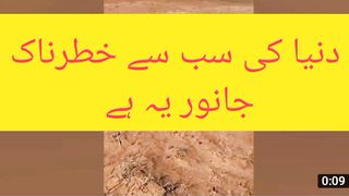 Beautiful video natural shorts video
