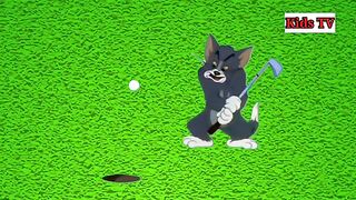 Tom and Jerry | cartoon | tom cat