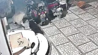 Animal encounters caught on camera