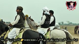 #horses#riding#vedio#horses of runing
