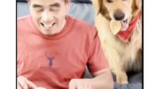Funny Animals video ????