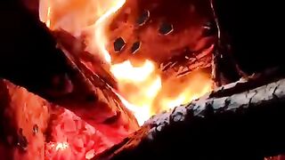 Today best video