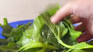 Spinach oat chila
