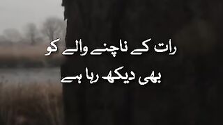 Tariq Jameel video