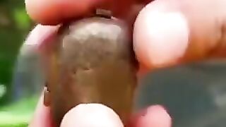 World smallest quran Mashalah