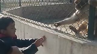 Zoo | Enjoying with monkey |