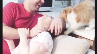 Dogs and cats funny video