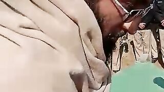 Kpk police shaheed nemaze jnaza