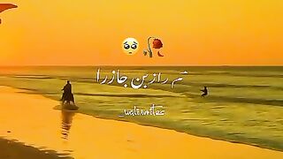 My favorite songs ????????