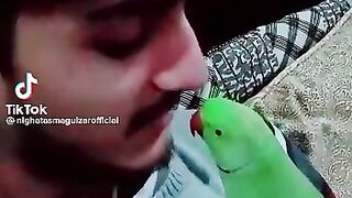 Talking parrot
