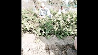 Old Man working in farms