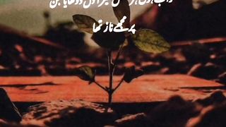Deep Two Line Poetry ????-heart Touching Poetry Status ????-#shorts #youseeandisee