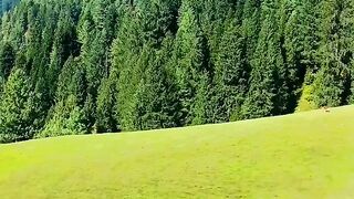 Beauty of Kashmir