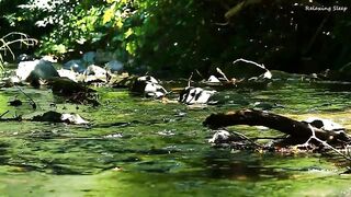 Relaxing Piano Music With Water Sound, Relaxing Music for Sleep, Studying and Relaxation. Calm music