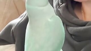 Funny Talking Indian Ringneck Parrot