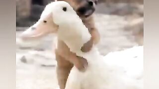 Incredible video ????????