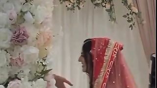 shaheed afridi