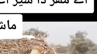 Edhibxaroojfsdjigfe