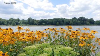 Relaxing with Nature Sounds