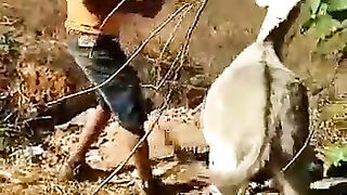गधे को भी नहीं सताना चाहिए,