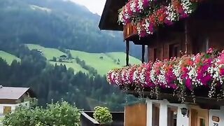 Beautiful nature video | nature