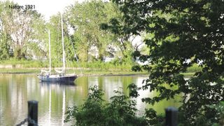 Relaxing with Nature Sounds